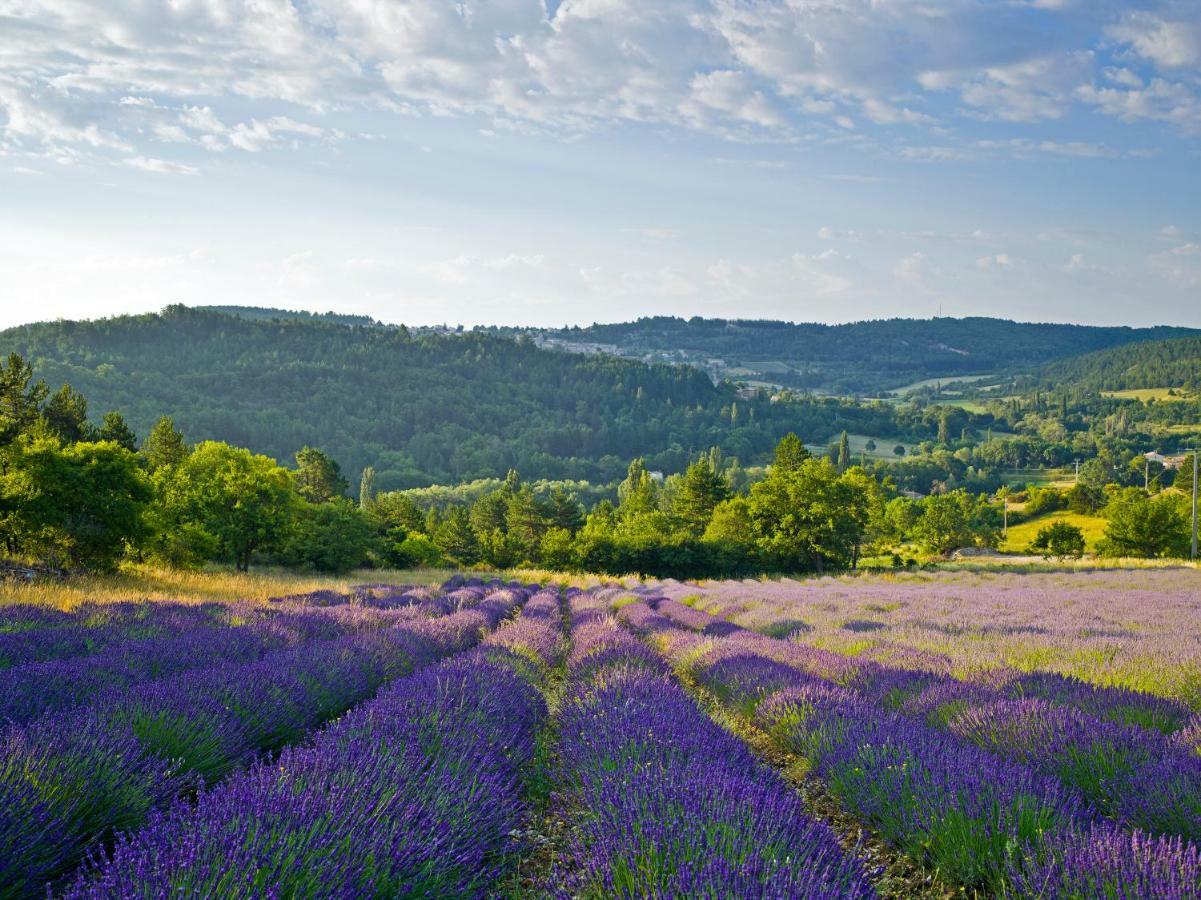 Le Jas De Verdolier Sault-de-Vaucluse Exteriör bild