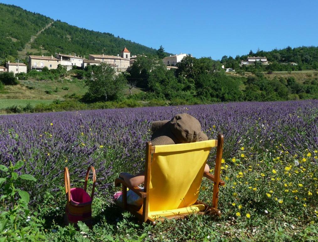 Le Jas De Verdolier Sault-de-Vaucluse Exteriör bild